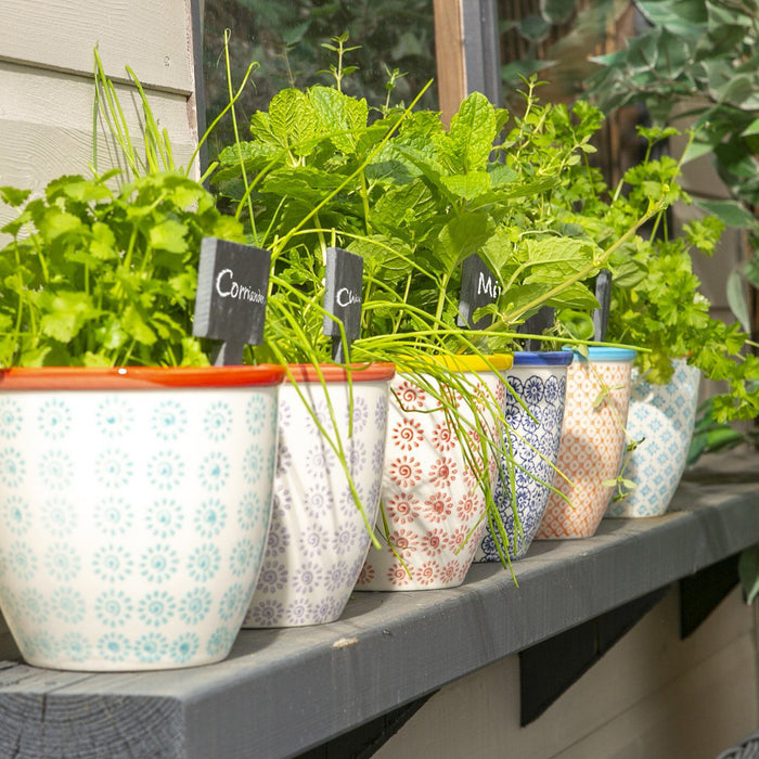 14cm Hand Printed Orange Stoneware Plant Pot