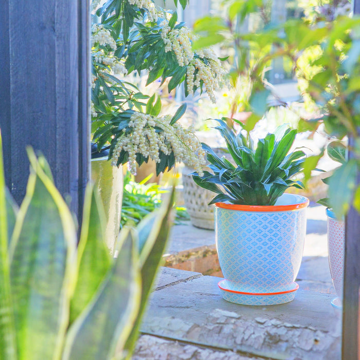 20cm Hand Printed Light Blue Stoneware Plant Pot with Saucer