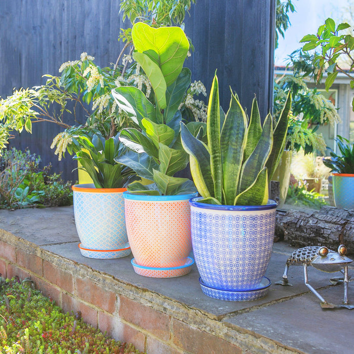 20cm Hand Printed Navy Stoneware Plant Pot with Saucer