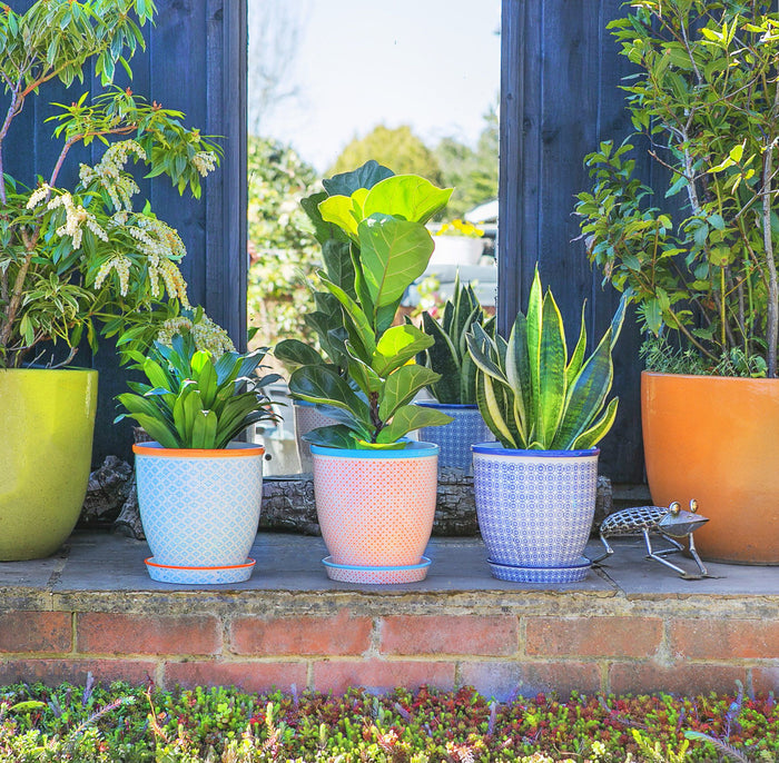 20cm Hand Printed Navy Stoneware Plant Pot with Saucer