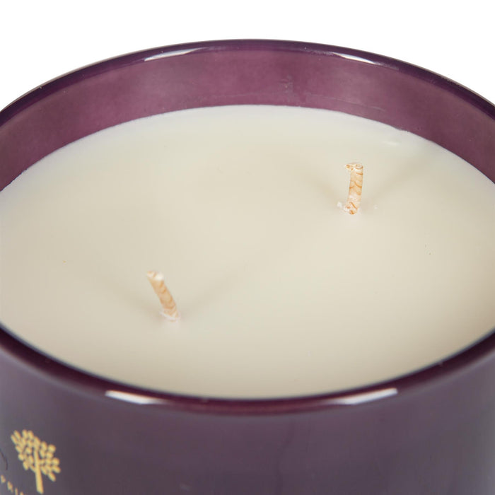 350g Double Wick Cinnamon Orange Soy Wax Scented Candle