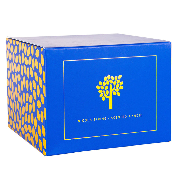 350g Double Wick Cinnamon Orange Soy Wax Scented Candle