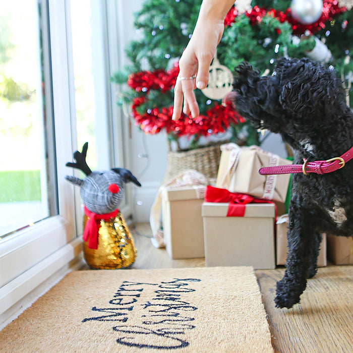 60cm x 40cm Merry Christmas Coir Door Mat
