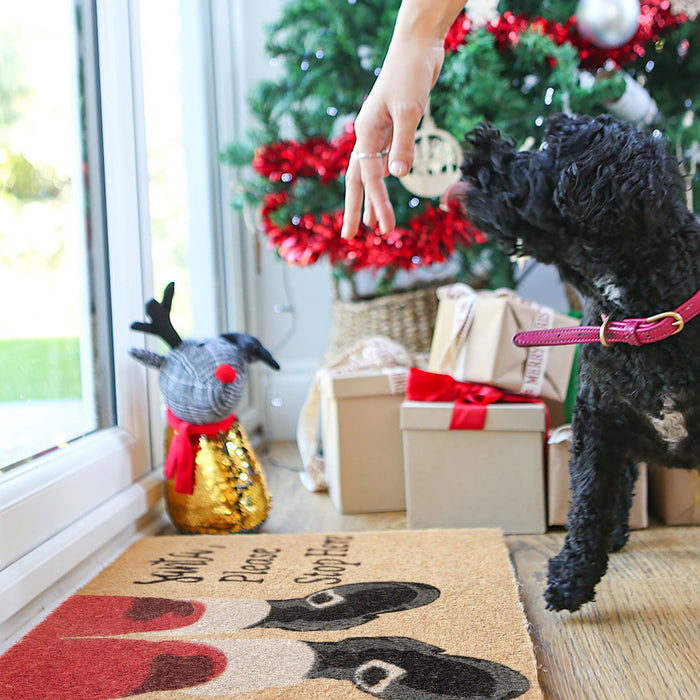 60cm x 40cm Santa Coir Door Mat