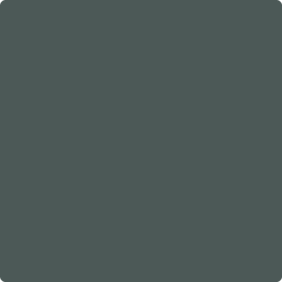 Shop the paint color 2122-10 Dark Pewter by Benjamin Moore at Anderson Paint Company in Ann Arbor, Michigan.