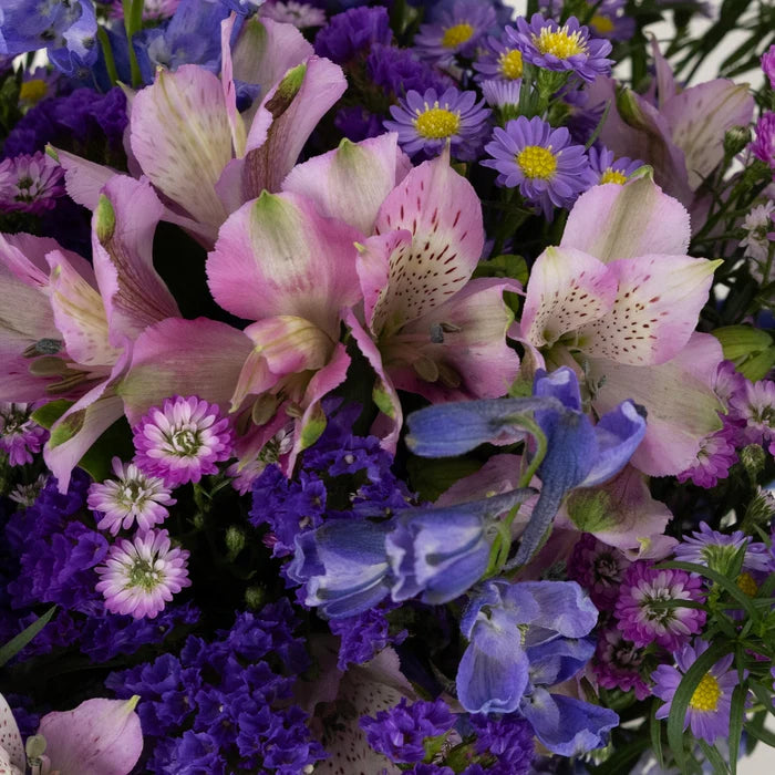 Evening Magic Diy Flower Kit Close Up - Image