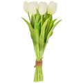 FRESH PICKED WHITE TULIPS