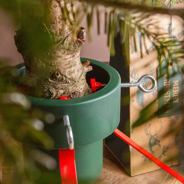 Green & Red Premium Real Christmas Tree Stand - Medium