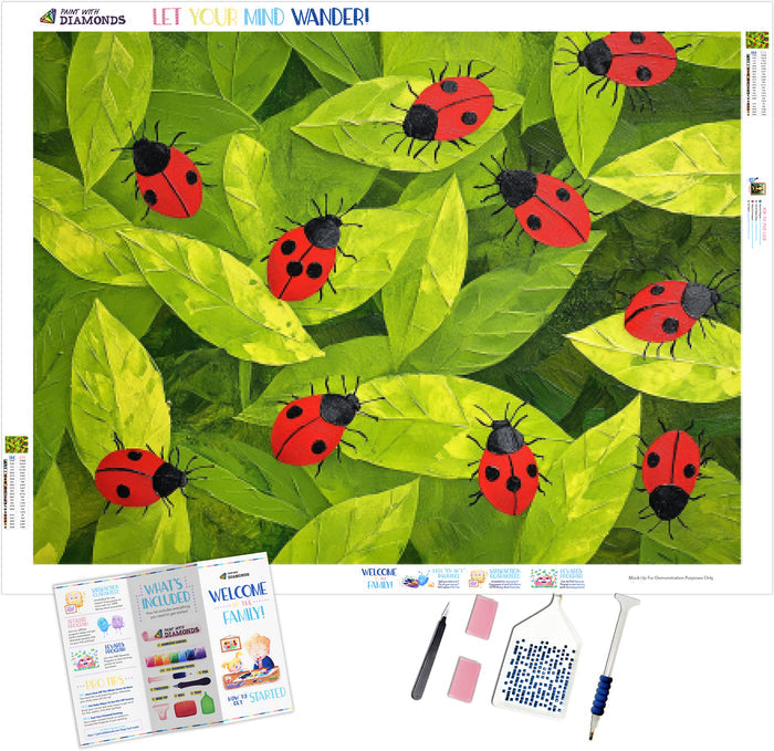 Ladybug Picnic