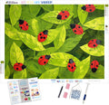 Ladybug Picnic