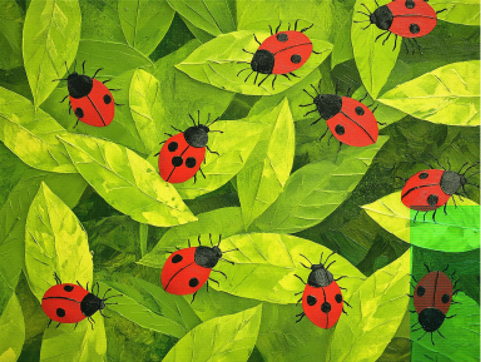 Ladybug Picnic