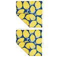 LEMONS VIBE DISHCLOTH, SET of 2