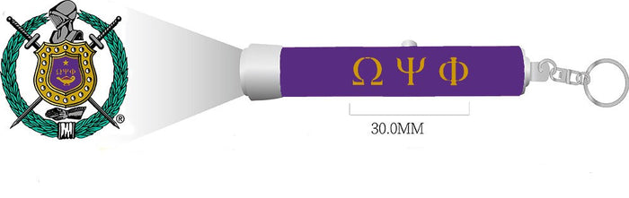 omega_torch_projection.jpg