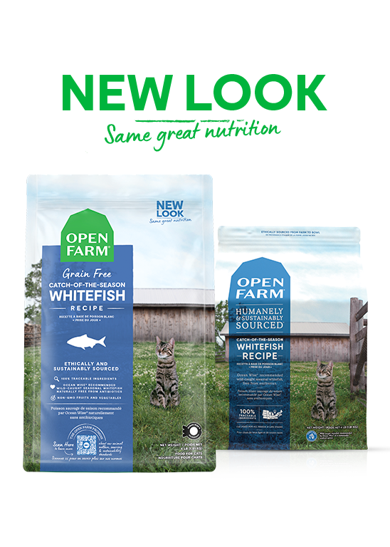 Open Catch-of-the-Season Whitefish Dry Cat Food
