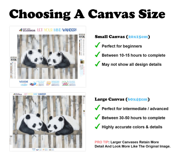Pair Of Panda Paradise