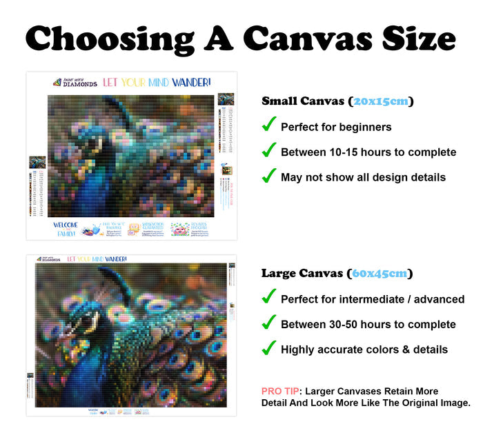 Peacock’s Elegance