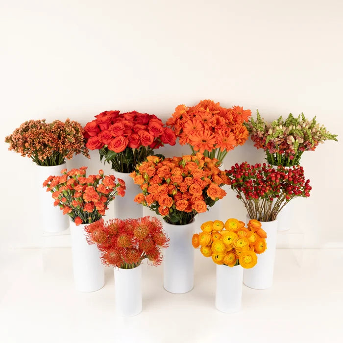 Persimmon Orange Diy Flower Kit Stem - Image