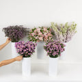 Pink Magic Bouquet Bar Flower Kit Close Up - Image