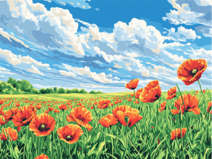 Poppies in Full Bloom Rolling Countryside
