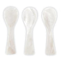 SHELL SPOON