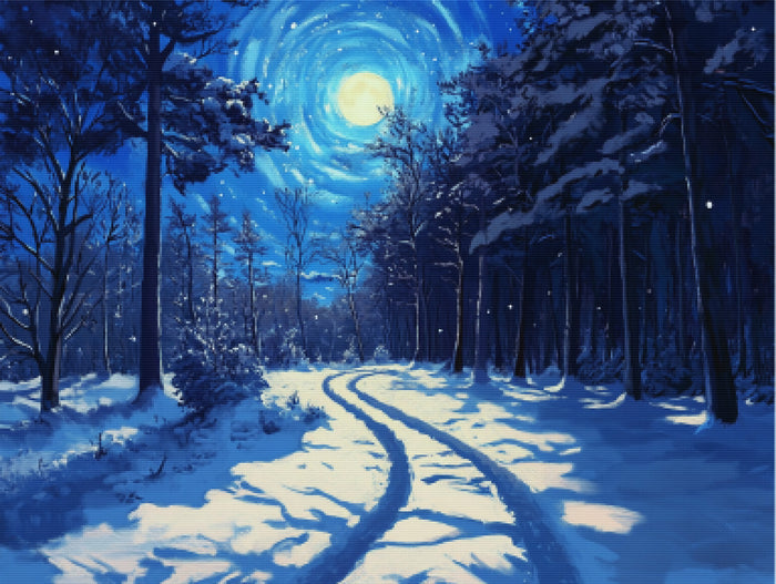 Snowy Forest Path Tall Trees