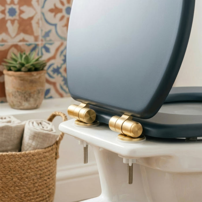 Wooden Soft Close Toilet Seat - Blue/Gold